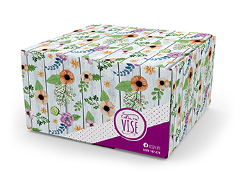 Tipografia Stefanili